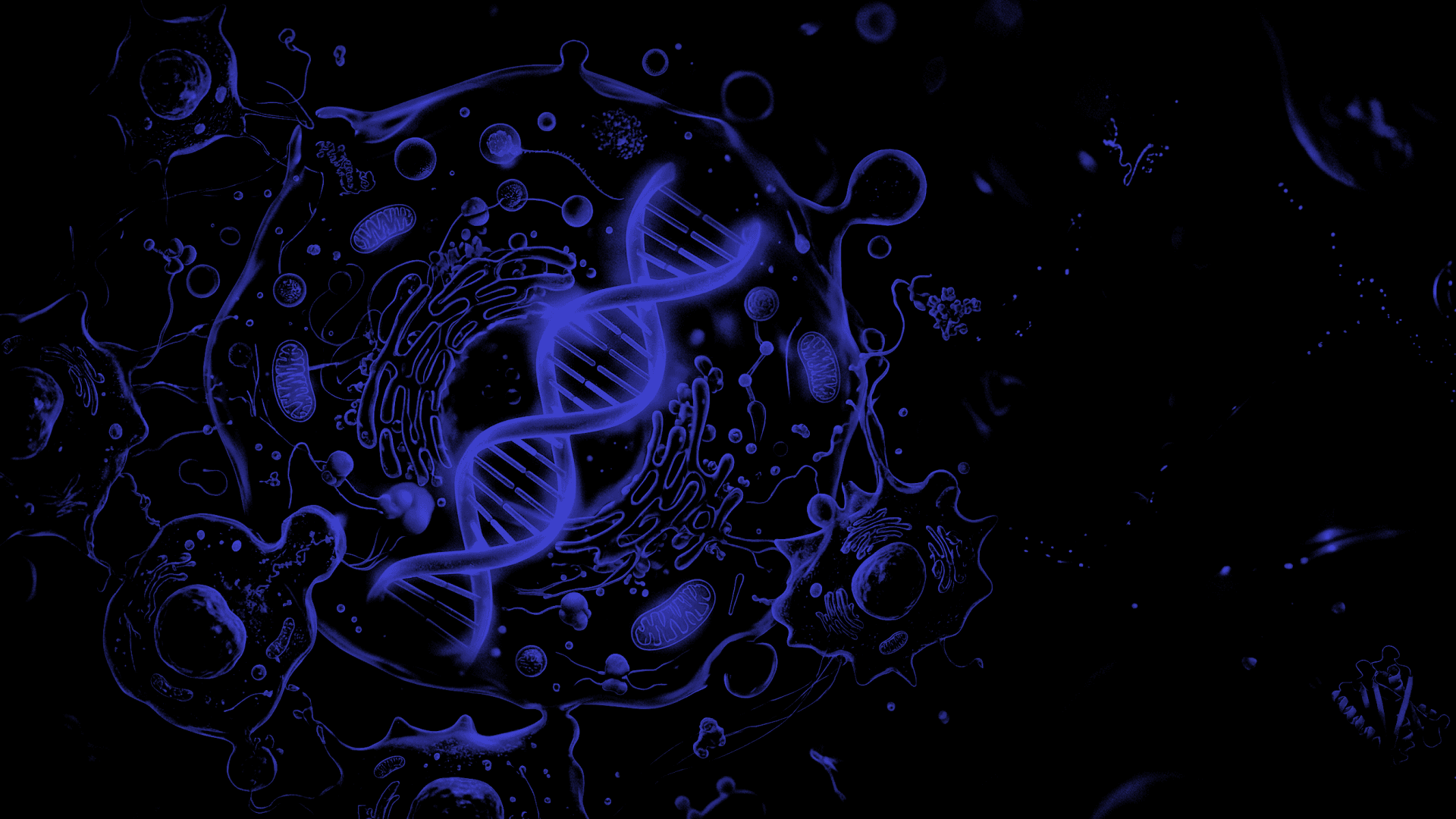 Background (purple, dark)