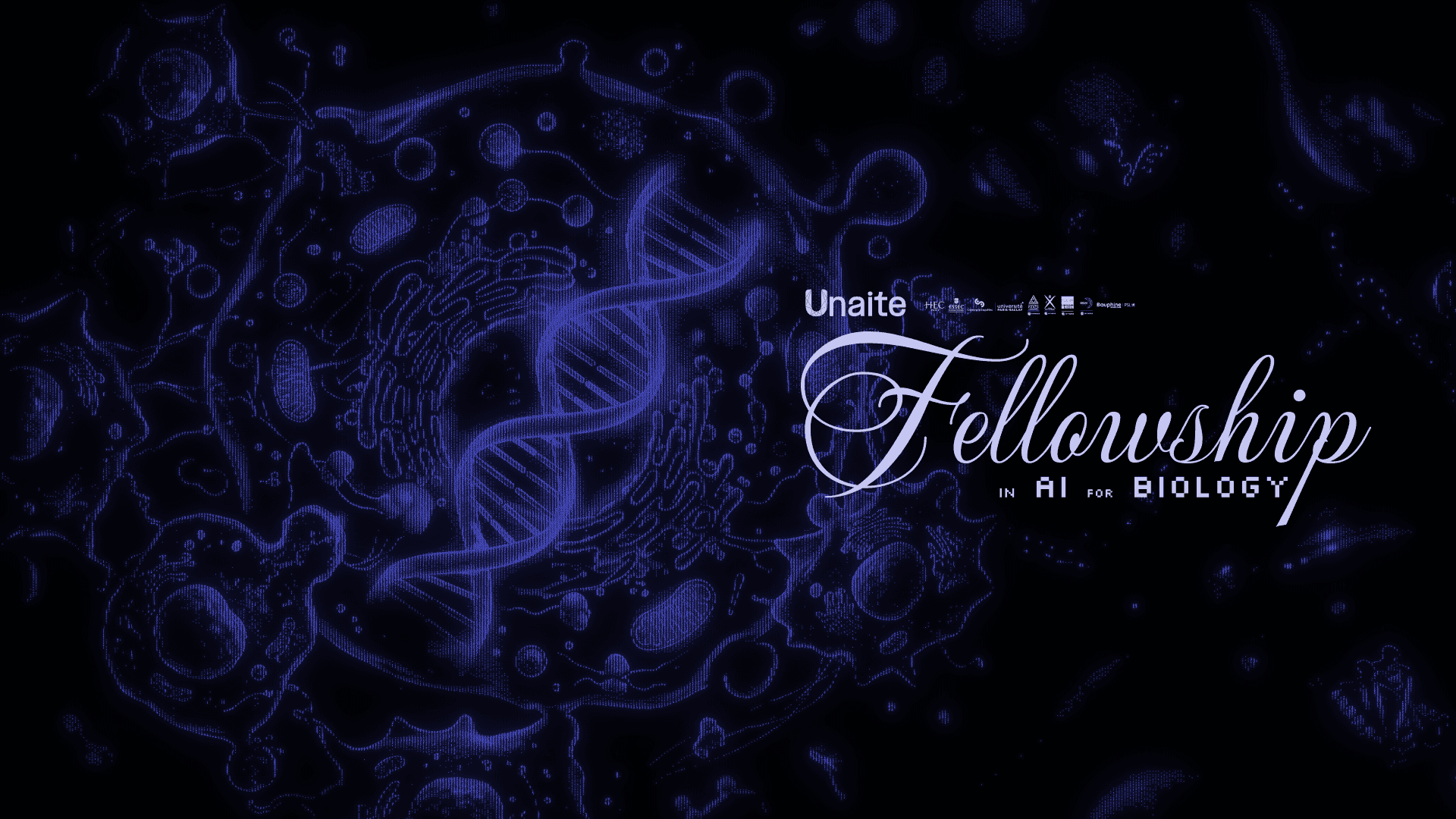 Banner (purple, dark)